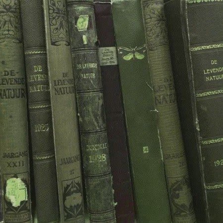  عکس هنری با کتاب اینستاگرام