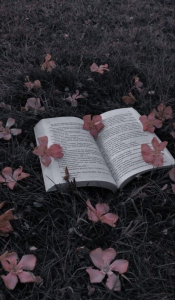  عکس هنری با کتاب اینستاگرام