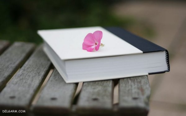  عکس کتاب برای گروه