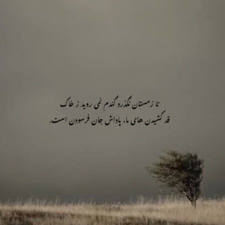  پروفایل شعر زیبا کوتاه