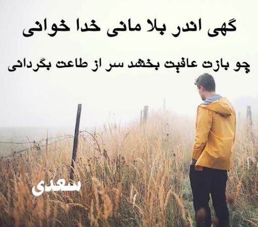  پروفایل شعر سعدی
