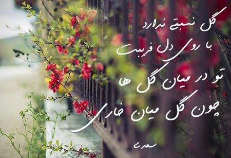  شعر زیبا کوتاه پر معنی