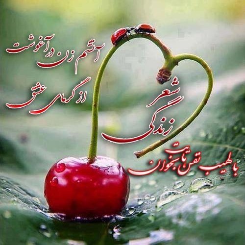  شعر زیبا کوتاه پر معنی زندگی