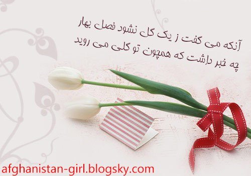  عکس شعر عاشقانه جدید