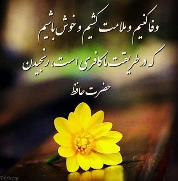  پروفایل شعر حافظ از خدا