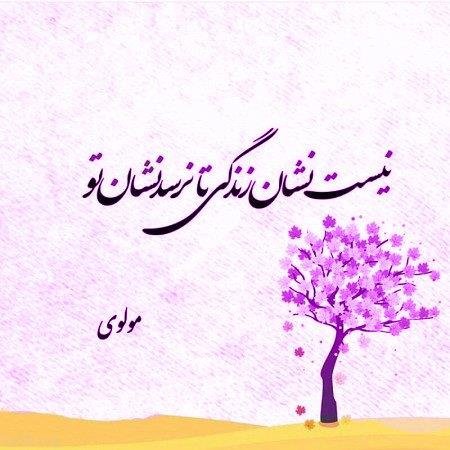  شعر مولانا برای پروفایل واتساپ