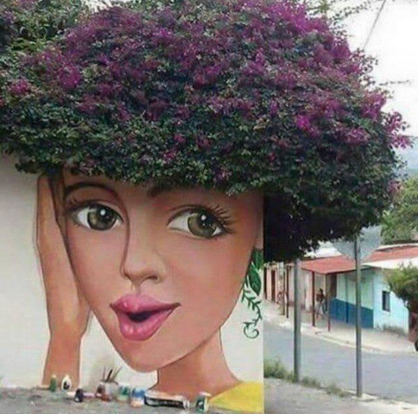  دانلود عکس های خاص و هنری