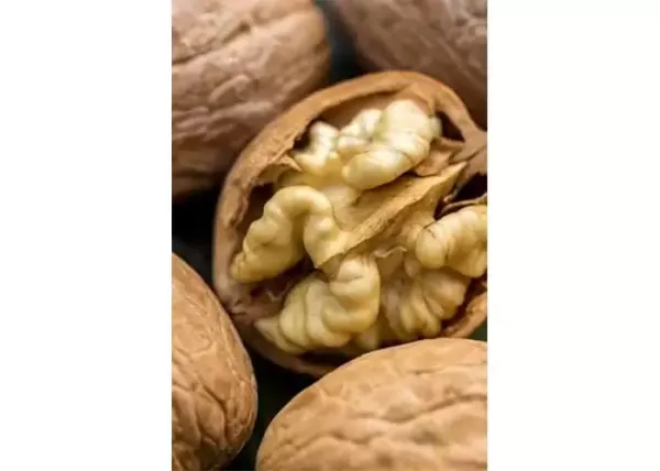 ایده عکاسی در خانه از اشیا