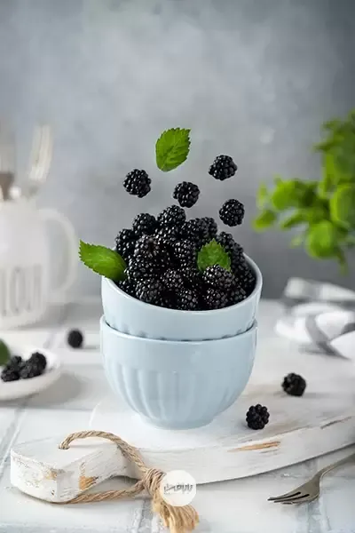 عکاسی غذا تبلیغاتی