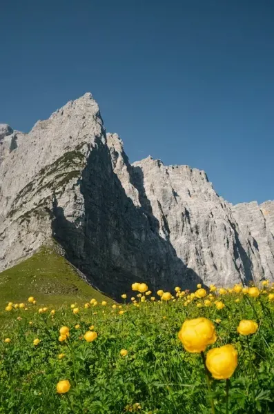  عکس زیبا