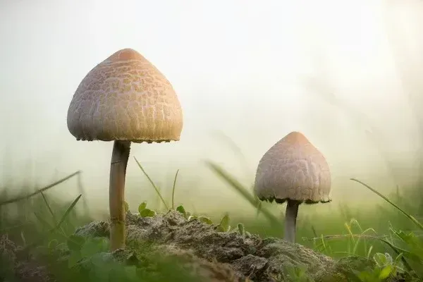  عکس زیبا
