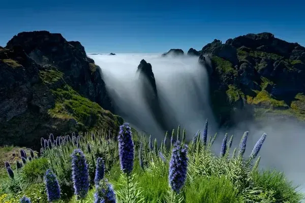  عکس زیبا