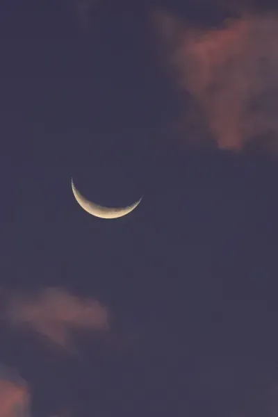  عکس زیبا