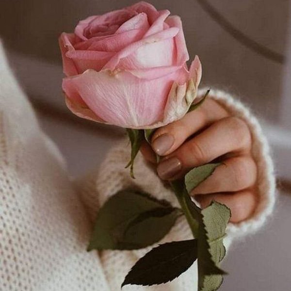  عکس خاص و زیبا برای پروفایل