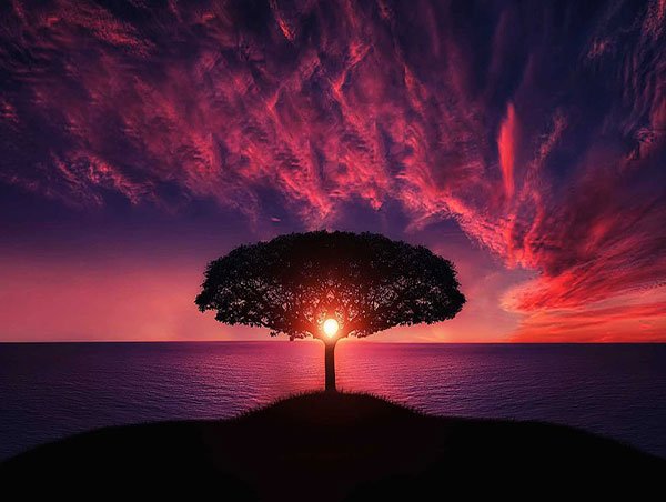  عکس منظره رویایی