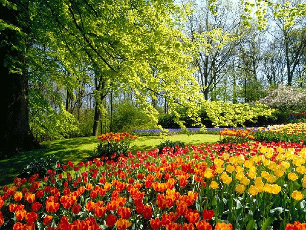  عکس منظره رویایی