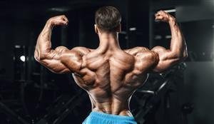  عکس ورزشی بدنسازی