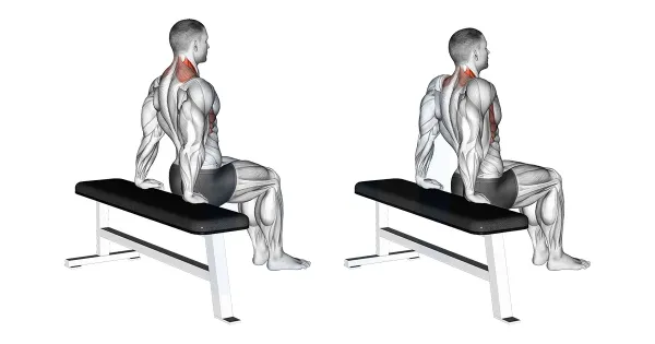  اسم حرکات ورزشی با عکس
