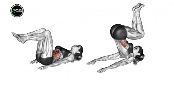  اسم حرکات بدنسازی بانوان با عکس