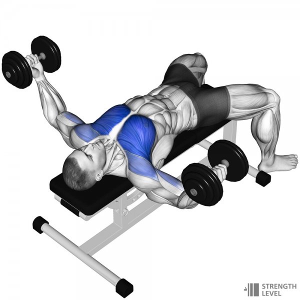  اسم حرکات بدنسازی با دمبل + عکس