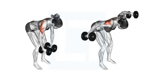  اسم حرکات بدنسازی با دمبل + عکس