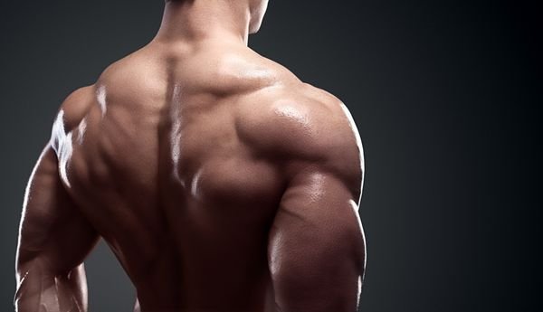  عکس بدن ورزشکار