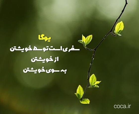  عکس نوشته یوگا
