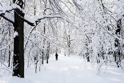  عکس ورزش اسکی