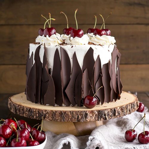 عکس کیک شکلاتی