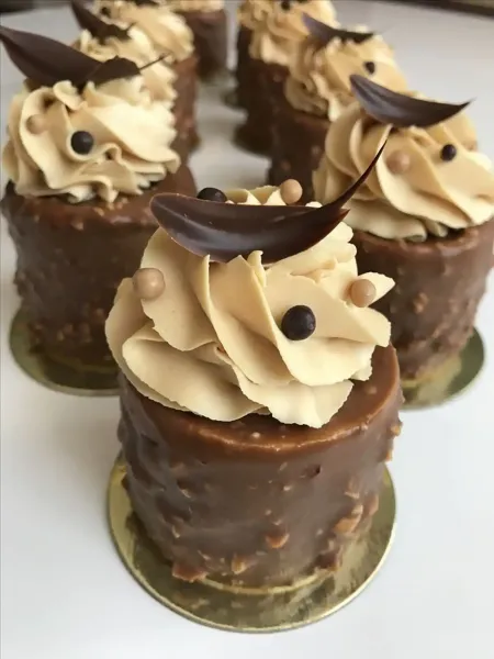  عکس کیک شکلاتی خوشگل
