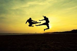 عکس رزمی کونگ فو