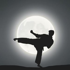  عکس رزمی کونگ فو