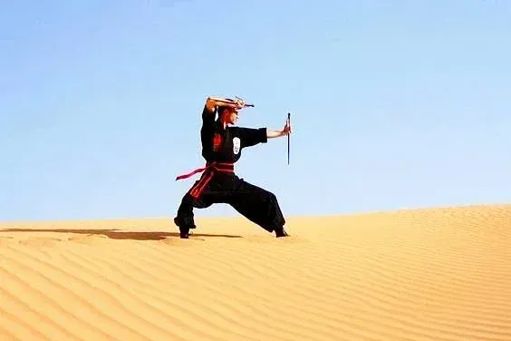  عکس رزمی کونگ فو