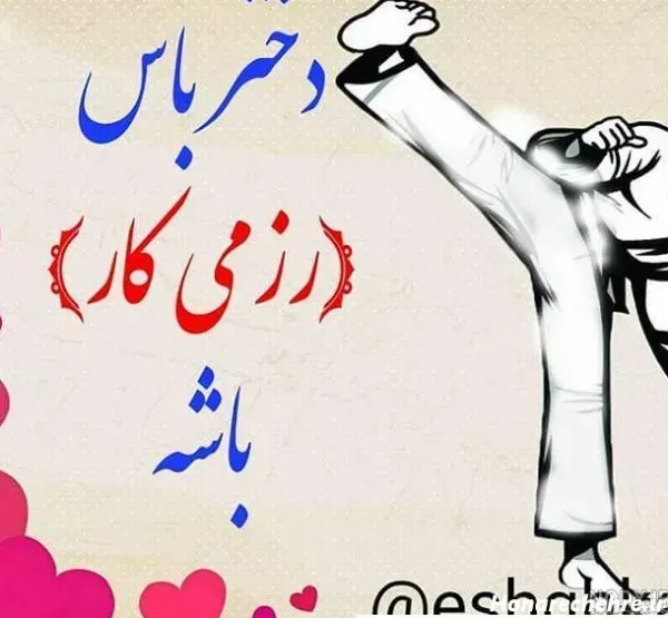 عکس کونگ فو برای پروفایل دخترانه