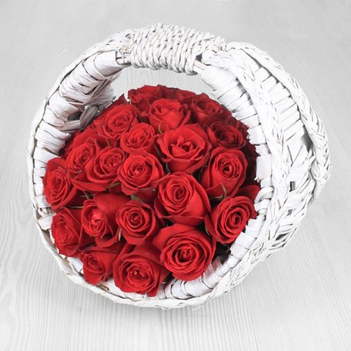 عکس گل رز قرمز مخملی برای پروفایل
