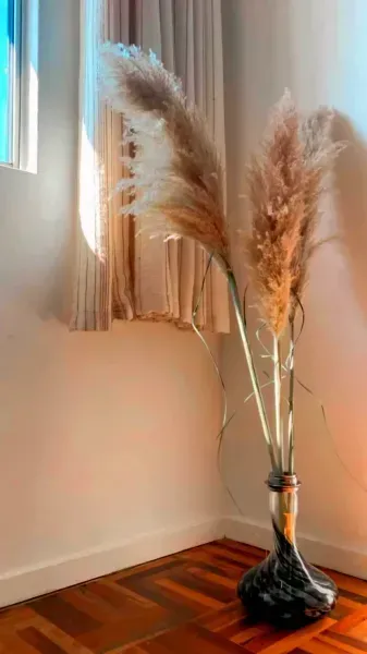 عکس گل خشک مینیمال