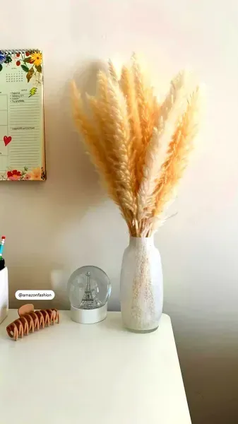  عکس گل خشک مینیمال