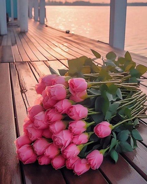 عکس گل رز صورتی برای پروفایل