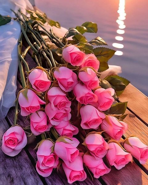 عکس گل رز واقعی برای پروفایل