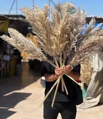 عکس انواع گل خشک