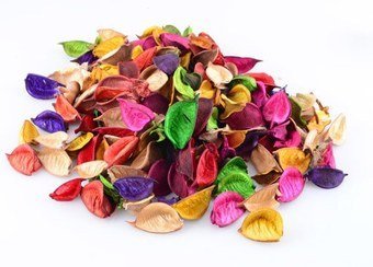 عکس انواع گل خشک