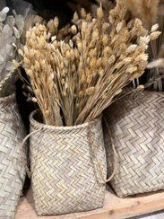 عکس انواع گل خشک