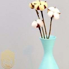 عکس انواع گل خشک