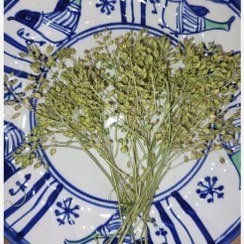 عکس انواع گل خشک