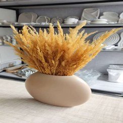 عکس انواع گل خشک
