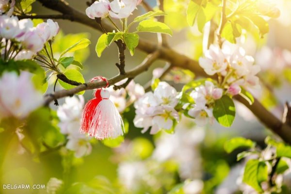  عکس شکوفه های بهاری