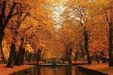 دانلود عکس پاییز