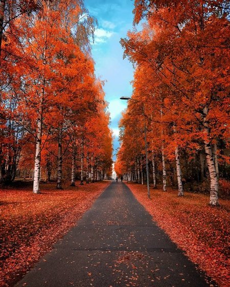 دانلود عکس پاییز