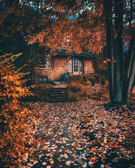 دانلود عکس پاییز