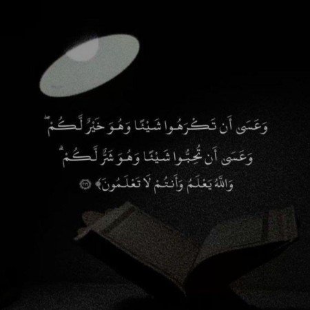 عکس امید به زندگی بدون متن